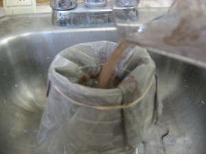 Filtering and neutralizing Decapsulated Brine Shrimp