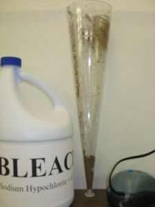 Hyrated Cysts are ready for Sodium Hypocloride (Bleach)